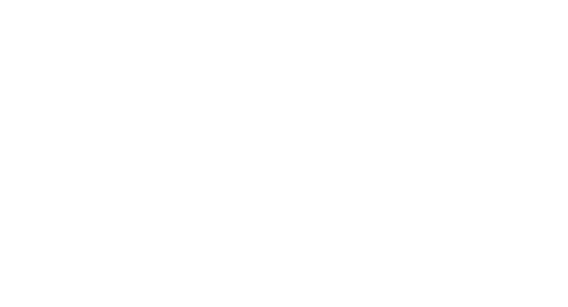 L and H Auctions Inc